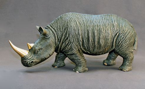 White Rhinoceros Barry Stein